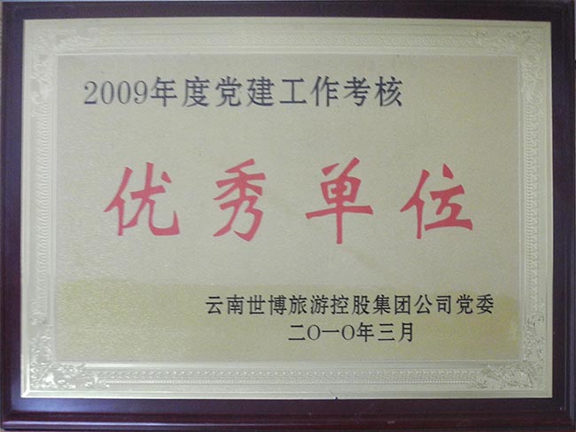 6-2009年党建工作优秀单位